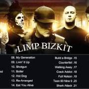 Il testo N 2 GETHER NOW dei LIMP BIZKIT è presente anche nell'album Greatest hits (2005)