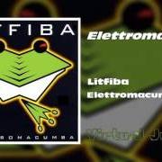 Il testo IL PAZZO CHE RIDE dei LITFIBA è presente anche nell'album Elettromacumba (2000)