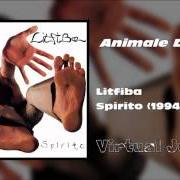Il testo SUONA FRATELLO dei LITFIBA è presente anche nell'album Spirito (1995)