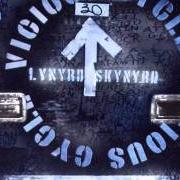 Il testo LUCKY MAN dei LYNYRD SKYNYRD è presente anche nell'album Vicious cycle (2003)
