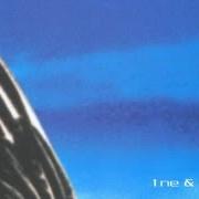 Il testo COLOURS degli ALPHAVILLE è presente anche nell'album Dreamscapes - disc 1 (1999)