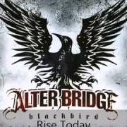 Il testo STILL REMAINS degli ALTER BRIDGE è presente anche nell'album Ab iii (2010)