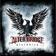 Il testo BURIED ALIVE degli ALTER BRIDGE è presente anche nell'album Blackbird (2007)