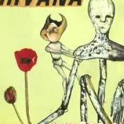 Il testo ANEURYSM dei NIRVANA è presente anche nell'album Incesticide (1992)