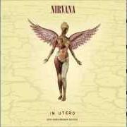 Il testo RAPE ME dei NIRVANA è presente anche nell'album In utero 2013 special 20th edition (2013)