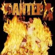 Il testo DEATH RATTLE dei PANTERA è presente anche nell'album Reinventing the steel (2000)
