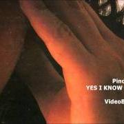 Il testo SENZA PECCATO di PINO DANIELE è presente anche nell'album Yes i know my way (1998)