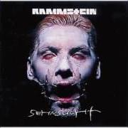 Il testo SEHNSUCHT dei RAMMSTEIN è presente anche nell'album Sehnsucht (1997)