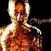 Il testo IT'S ALL COMING BACK di ROBERT MILES è presente anche nell'album Organik (2001)