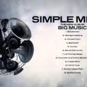 Il testo THEME FOR GREAT CITIES dei SIMPLE MINDS è presente anche nell'album The best of simple minds (2003)