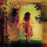 Il testo THAT MADE ME STRONGER di STEVIE NICKS è presente anche nell'album Trouble in shangri-la (2001)