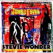 Il testo MAKE SURE YOU'RE SURE di STEVIE WONDER è presente anche nell'album Jungle fever (1991)