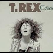 Il testo STACEY GROVE dei T. REX è presente anche nell'album The best of t. rex (1971)