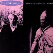Il testo IN THE GARDEN di VAN MORRISON è presente anche nell'album No guru, no method, no teacher (1986)
