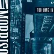 Il testo TELL ME WHAT YOU WANT di VAN MORRISON è presente anche nell'album Too long in exile (1993)