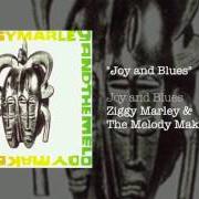 Il testo AFRICAN HERBSMAN di ZIGGY MARLEY è presente anche nell'album Joy and blues (1993)