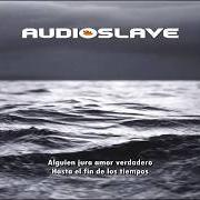 Il testo DOESN'T REMIND ME degli AUDIOSLAVE è presente anche nell'album Out of exile (2005)