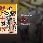 Il testo ALLEY GATOR degli ZZ TOP è presente anche nell'album Mescalero (2003)