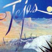 Il testo AVALON HIDEAWAY degli ZZ TOP è presente anche nell'album Tejas (1976)