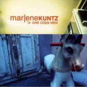 Il testo GRAZIE dei MARLENE KUNTZ è presente anche nell'album Che cosa vedi (2000)
