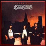 Il testo NOTHING COULD BE GOOD dei BEE GEES è presente anche nell'album Living eyes (1981)