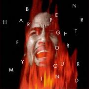 Il testo EXCUSE ME MR. di BEN HARPER è presente anche nell'album Fight for your mind (1995)
