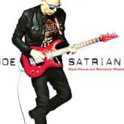 Il testo WIND IN THE TREES di JOE SATRIANI è presente anche nell'album Black swans and wormhole wizards (2010)