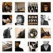 Il testo MYSTERY TRAIN di BON JOVI è presente anche nell'album Crush (2000)