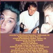 Il testo SOMETIMES dei BLINK-182 è presente anche nell'album Chesire cat (1996)