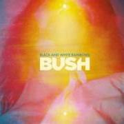 Il testo MAD LOVE dei BUSH è presente anche nell'album Black and white rainbows (2017)
