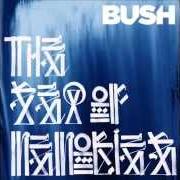 Il testo AFTERLIFE dei BUSH è presente anche nell'album The sea of memories (2011)