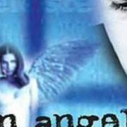 Il testo AMMORE CARNALE di GIANNI CELESTE è presente anche nell'album Un angelo (2004)