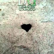 Il testo VAN DAMME (SADDAM) di DARGEN D'AMICO è presente anche nell'album D' (parte prima) (2010)
