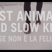 Il testo GIORNI DI GLORIA dei FAST ANIMALS AND SLOW KIDS è presente anche nell'album Forse non e' la felicità (2017)