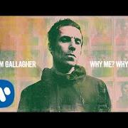 Il testo MEADOW di LIAM GALLAGHER è presente anche nell'album Why me? why not (2019)