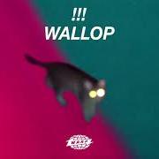 Il testo MY FAULT di !!! (CHK CHK CHK) è presente anche nell'album Wallop (2019)