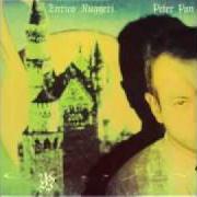 Il testo PETER PAN di ENRICO RUGGERI è presente anche nell'album Peter pan (1991)