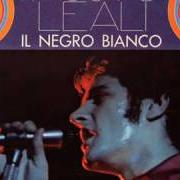 Il testo È COLPA SUA di FAUSTO LEALI è presente anche nell'album Il negro bianco (1968)
