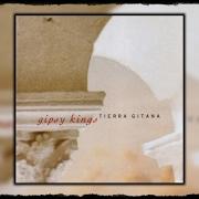 Il testo TIERRA GITANA dei GIPSY KINGS è presente anche nell'album Tierra gitana (1996)