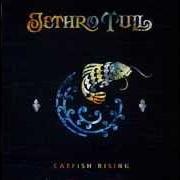 Il testo ROCKS ON THE ROAD dei JETHRO TULL è presente anche nell'album Catfish rising (1991)