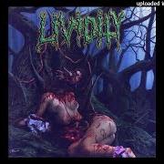 Il testo BOUND IN SKIN dei LIVIDITY è presente anche nell'album Used, abused and left for dead (2006)