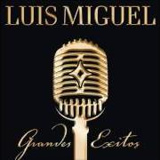 Il testo AHORA TE PUEDES MARCHAR di LUIS MIGUEL è presente anche nell'album Grandes exitos (disco 1) (2005)