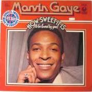 Il testo FOREVER di MARVIN GAYE è presente anche nell'album How sweet it is (1964)