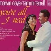 Il testo GIVE IN, YOU JUST CAN'T WIN di MARVIN GAYE è presente anche nell'album You're all i need [with tammi terrell] (1968)