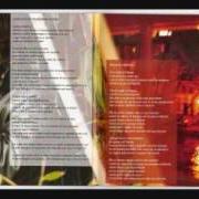 Il testo DI COSE BELLE di MASSIMO DI CATALDO è presente anche nell'album Macchissenefrega (2009)