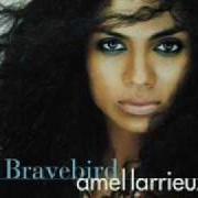 Il testo YOUR EYES di AMEL LARRIEUX è presente anche nell'album Bravebird (2004)
