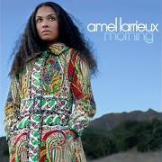 Il testo UNANSWERED QUESTION di AMEL LARRIEUX è presente anche nell'album Morning (2006)