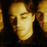 Il testo FADE TO GREY dei MONUMENTUM è presente anche nell'album In absentia christi (1995)