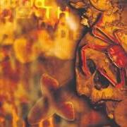 Il testo ECHOES OF SOLITUDE [INTRO] dei MORBID DEATH è presente anche nell'album Echoes of solitude (1997)