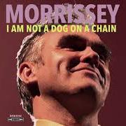 Il testo DARLING, I HUG A PILLOW di MORRISSEY è presente anche nell'album I am not a dog on a chain (2020)